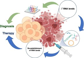 Non-coding RNAs: Emerging from the discovery to therapeutic applications